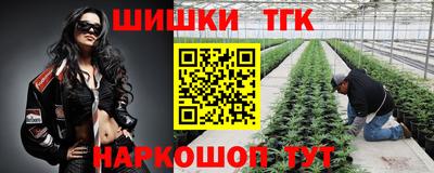 СК Ливны