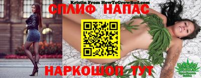 стаф Лесосибирск