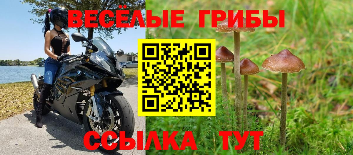 Галлюциногенные грибы мухоморы Пушкино