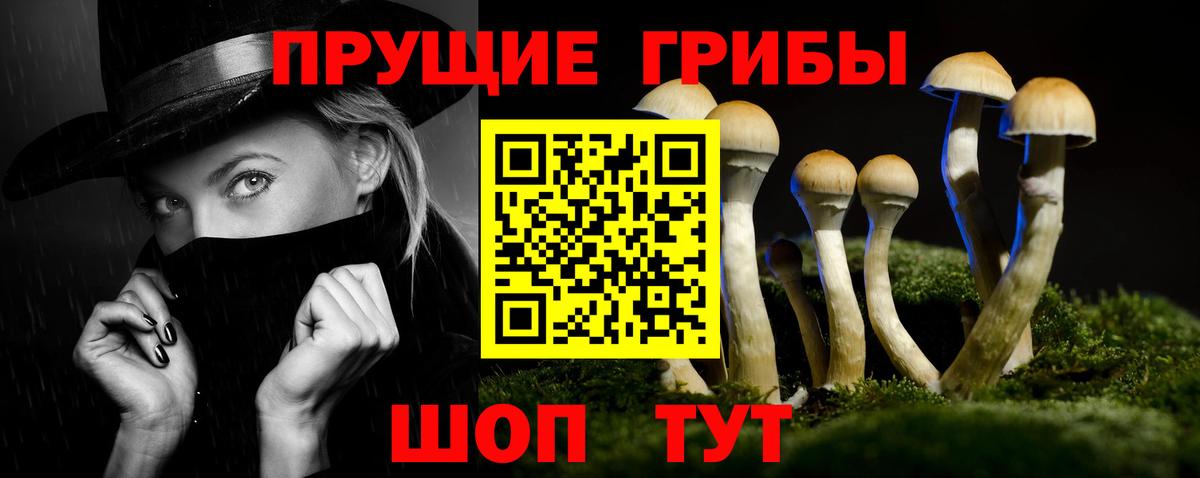 Псилоцибиновые грибы MAGIC MUSHROOMS  Псилоцибиновые грибы ЛСД  Вход с VPN  Пушкино 